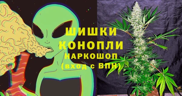 крисы Верхний Тагил