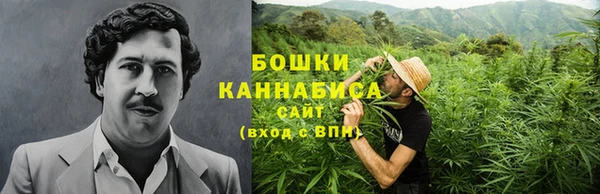 крисы Верхний Тагил