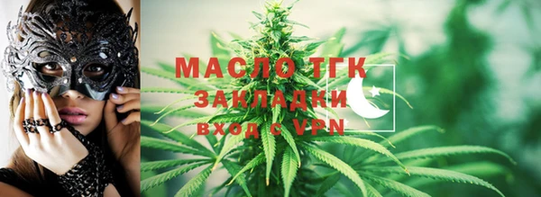 крисы Верхний Тагил