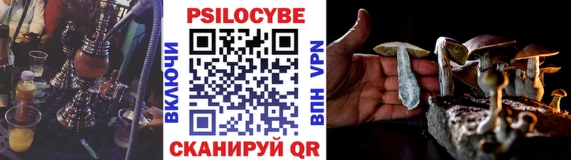 Купить где  Кириллов  Псилоцибиновые грибы Magic Shrooms 